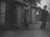 3346.JPG